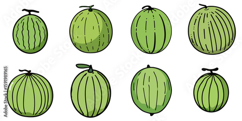 Multiple vector illustrations of melon with doodle-like drawings

