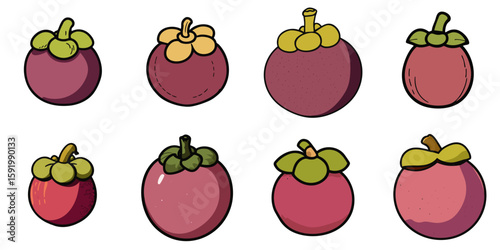Multiple vector illustrations of mangosteen with doodle-like drawings


