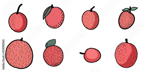 Multiple vector illustrations of lychee with doodle-like drawings


