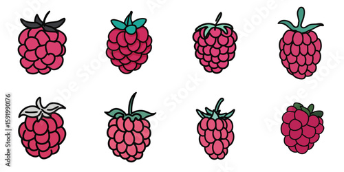Multiple vector illustrations of raspberry with doodle-like drawings


