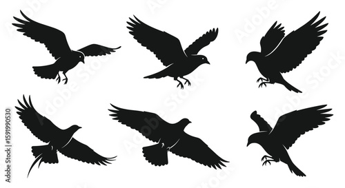 Six silhouettes of birds in flight demonstrating wing movement and aerodynamics