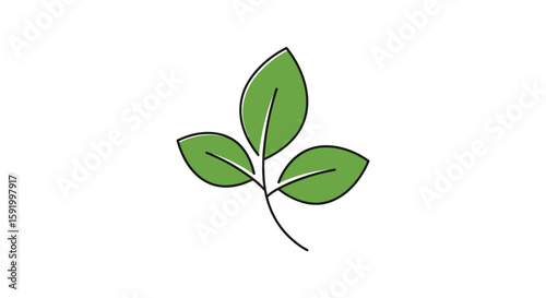 Green leafy plant stem organic nature element design botanical growth healthy freshness growth life natural environment garden foliage botany vegetation