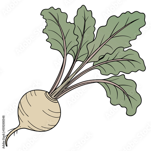 Sugar beet  icon on white background. Simple element from digital disruption collection.