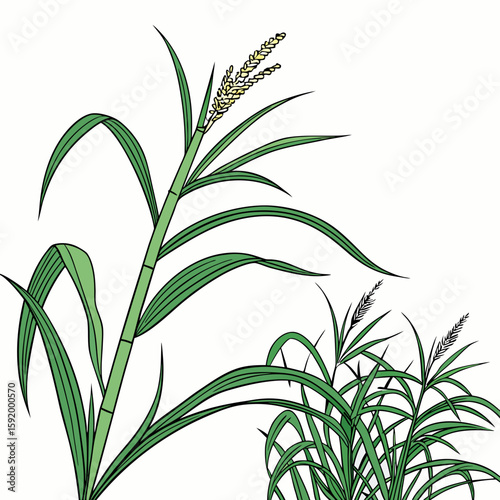 Sugarcane  icon on white background. Simple element from digital disruption collection.