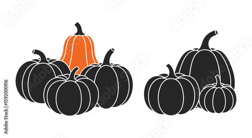 Autumn harvest decorative squash and gourds collection in various shapes and sizes