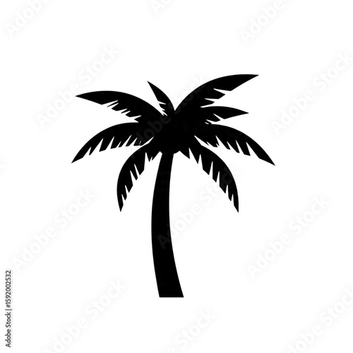 palm tree silhouette