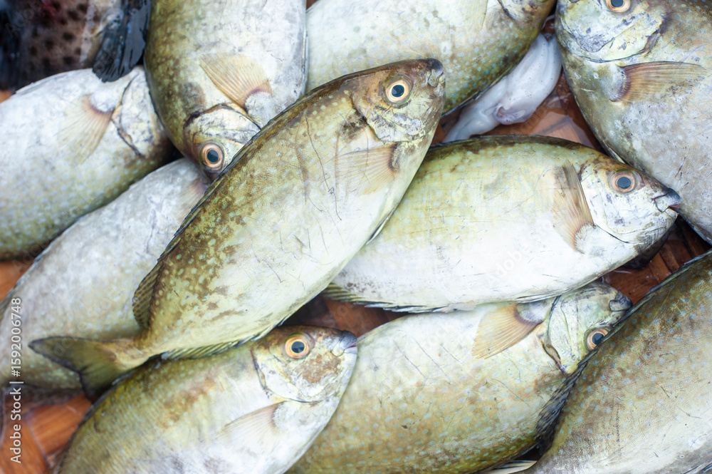 Obraz premium Seafood selling on the street of Vietnam
