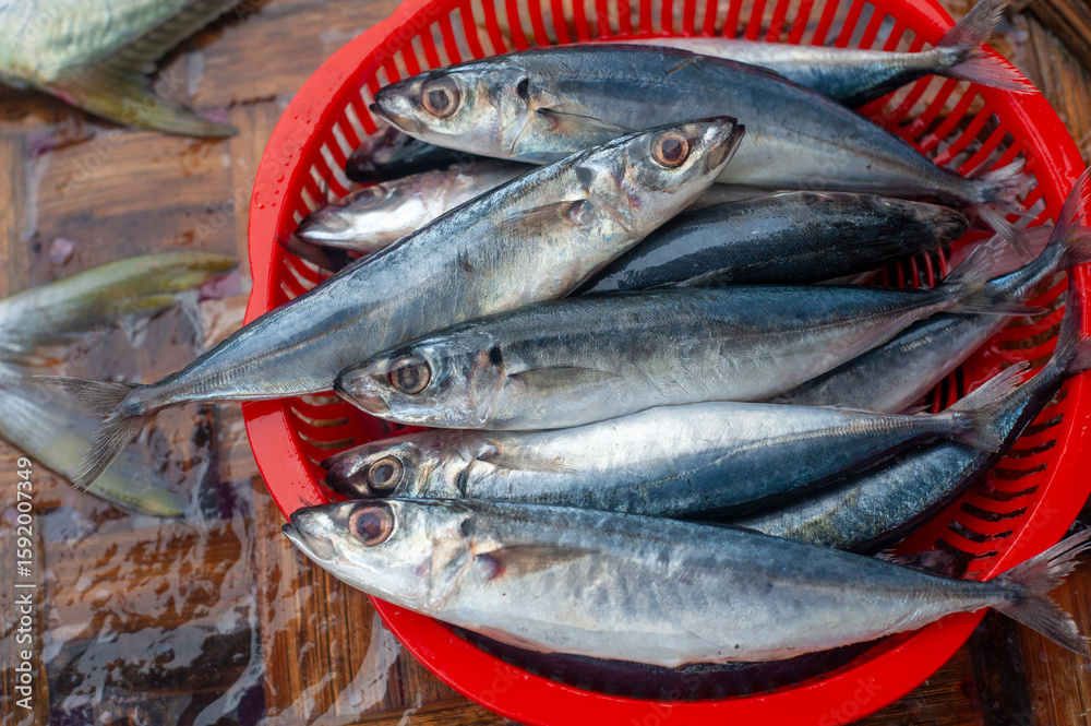 Obraz premium Seafood selling on the street of Vietnam