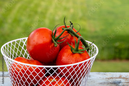 Red Ripe Tomatoes in a Basket