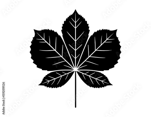 Black horse chestnut leaf silhouette, isolated on white background, showing detailed veins and five distinct lobes in a minimalist vector style.