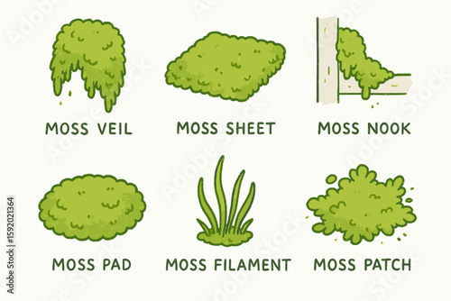 hand drawn cute doodle style isolated moss veil moss sheet moss nook moss pad moss filament moss patch