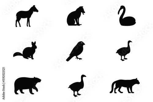 Diverse Animal Silhouettes a Minimalist Collection of Wildlife Representations Featuring Mammals and Birds in Stark Black and White