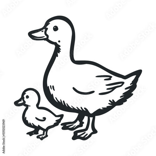 Ducks and ducklings together in a natural setting for kids