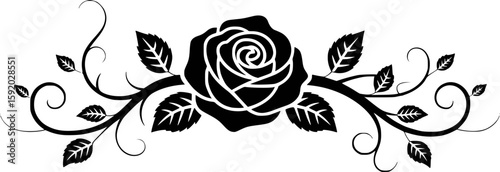 Elegant black rose with leaves and swirls floral design vector