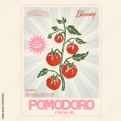 Tomato vegetable artwork for t shirt print, Red tomato vintage t-shirt, pomodoro room Italia slogan. Tomato local farm. women girls graphic tee. tomatoes art.