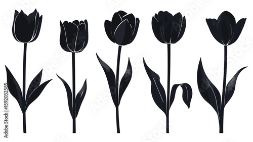 Elegant Black Tulip Flower Silhouettes - Professional Floral Design Elements