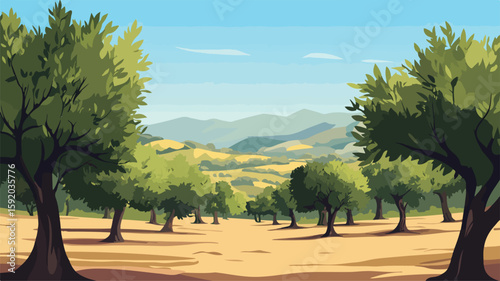 Serene Olive Tree Grove in Mediterranean Landscape