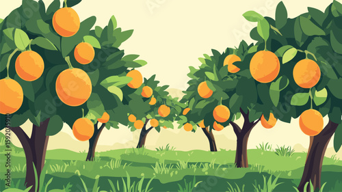 Vibrant Orange Grove Fruit Trees - Citrus Orchard Landscape View