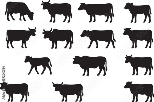 Black cow silhouettes collection various poses cattle bovine