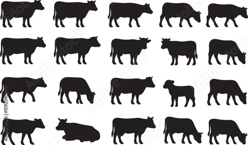 Black cow silhouettes standing grazing and lying cattle bovine