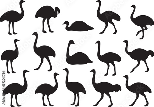 Black ostrich silhouettes various poses bird animal