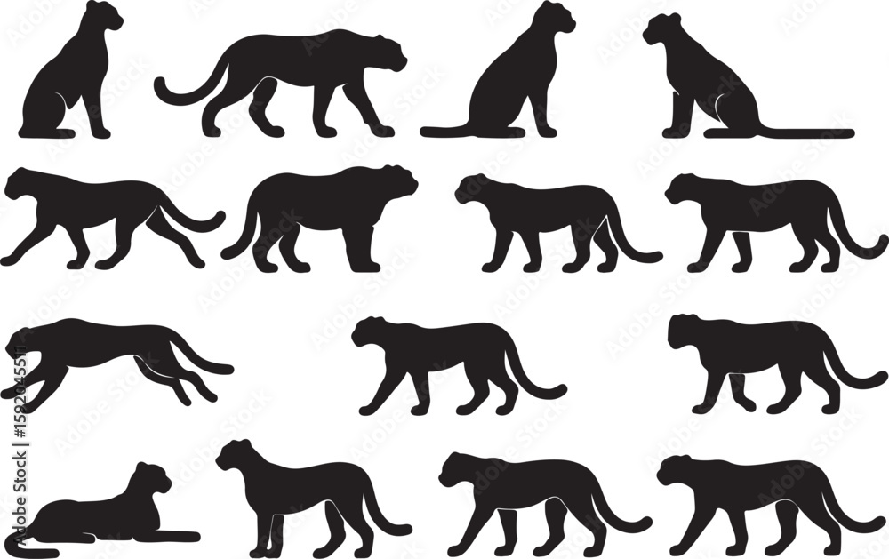 Fototapeta premium Cheetah silhouettes various poses feline animal