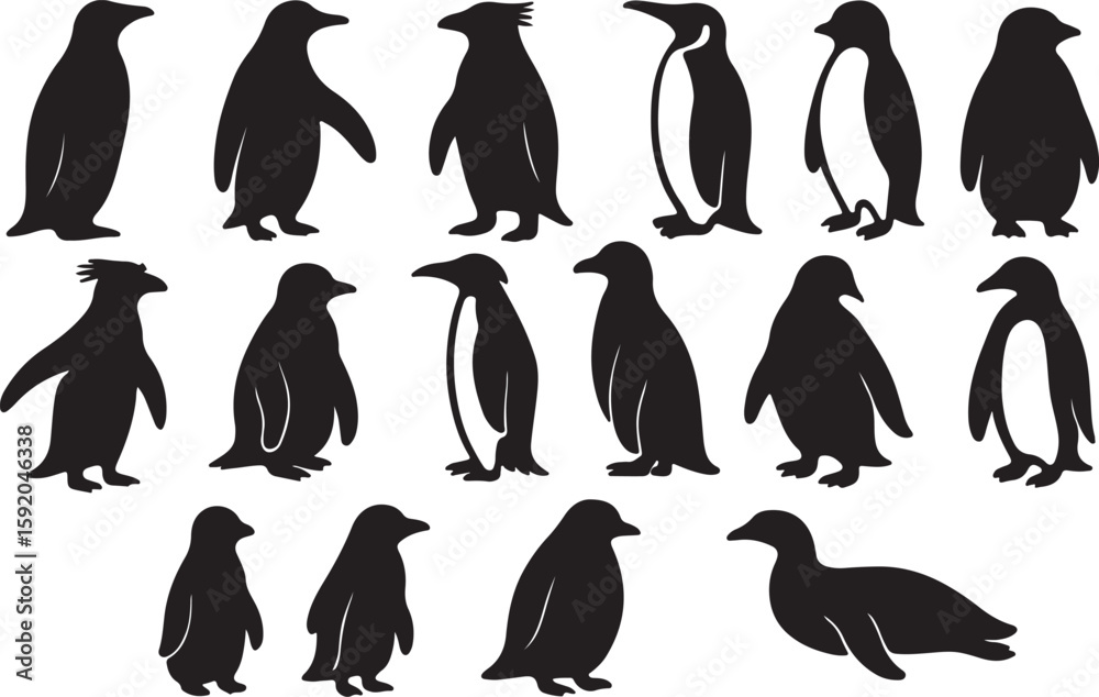 Naklejka premium Penguin silhouettes collection animal wildlife