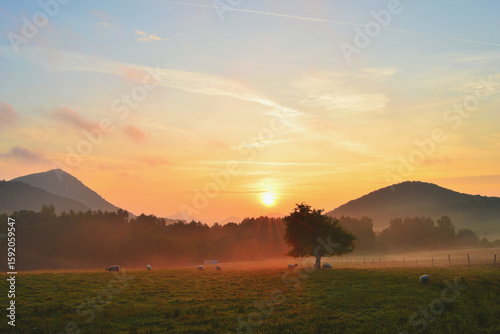 Cuadro en lienzo Silhouetted Hills at Sunrise with Mist Floating Above the Meadow with Solitary T