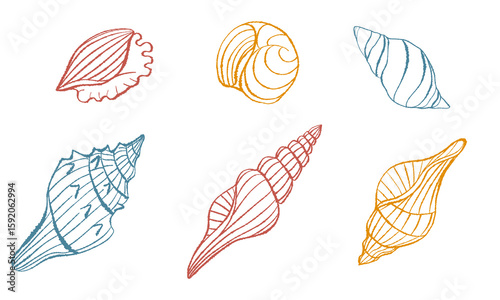 Set of spiral seashells in colored line drawing style. Vintage marine collection of mollusk shells. Vector isolated single line illustration on white background for print, decor, stickers