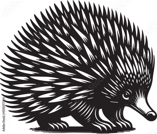 Echidna Silhouette Illustration