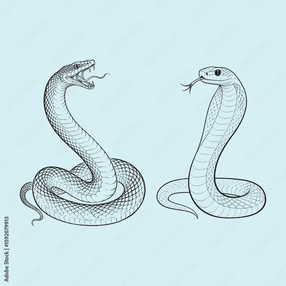 Fototapeta premium vector illustration of a cartoon snake