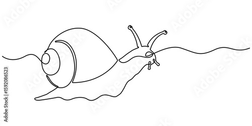 Continuous one line drawing of conch snail shell. Marine animal concept continuous line art. Single line art. Conch snail seashell in simple linear style. Editable stroke. Doodle Vector illustration