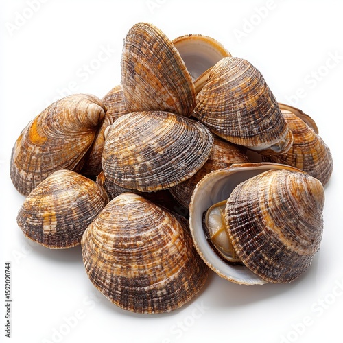 A pile of fresh clams with brown striped shells and one open clam on a white surface close up view