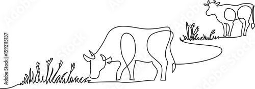 Cows on pasture. Continuous one line drawing. Cow milk farm concept in simple linear style.
