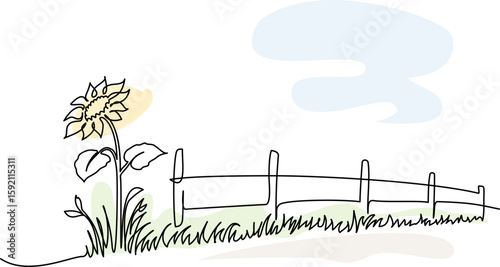 Sunflower blooming near fence. Summer countryside. Continuous one line drawing.