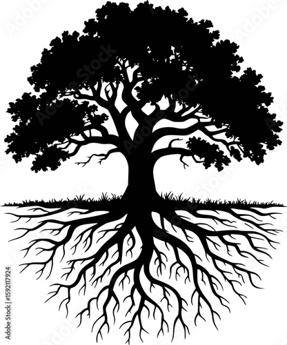 Silhouette of a majestic tree with roots spreading wide and strong