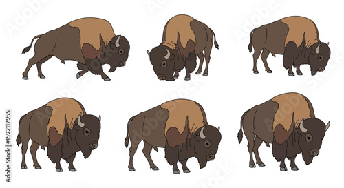 American bison illustrated in various poses and actions  