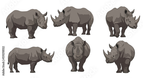 Various poses of Black Rhinoceros illustrated in gray tones  