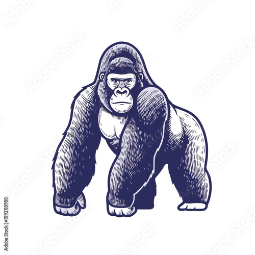 Gorilla illustration of strong primate on transparent background. Gorilla artwork shows gorilla from front view with detailed fur texture, strong muscles, and determined expression.