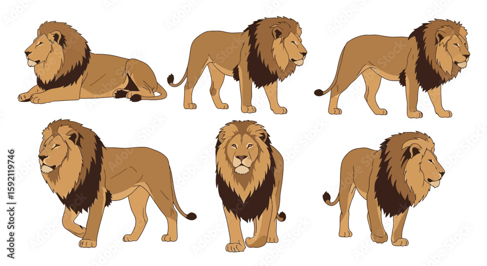 Obraz premium Lion illustrations in various poses with detailed fur and mane