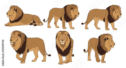 Lion illustrations in various poses with detailed fur and mane  