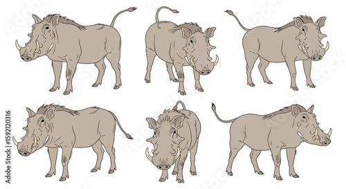 Warthogs illustrated in various poses on a white background  
