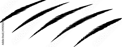 Black claw marks on white background scratch