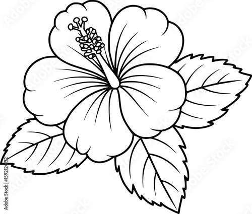 Simple outline drawing of a hibiscus flower with leaves in black and white