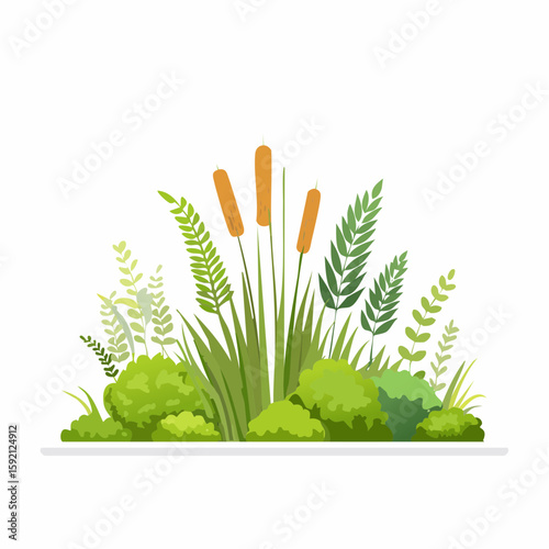 An illustration of a detailed wetland ecosystem featuring cattails, various green plants, and shrubs, set against a clean white background.