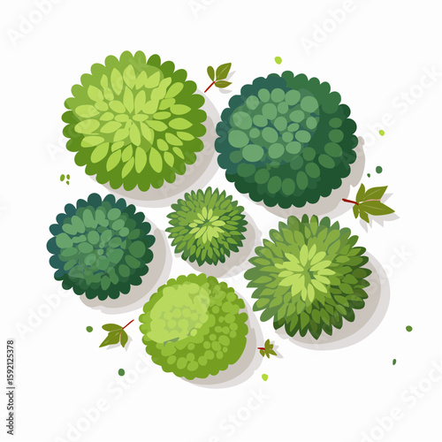 An overhead view of various stylized green bushes and plants with different leaf textures, arranged in a circular composition on a white background.