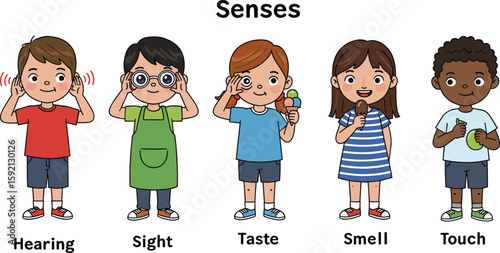 
Five Senses for Kids – Hearing, Sight, Taste, Smell, and Touch Explained with Cute Cartoon Characters for Early Learning