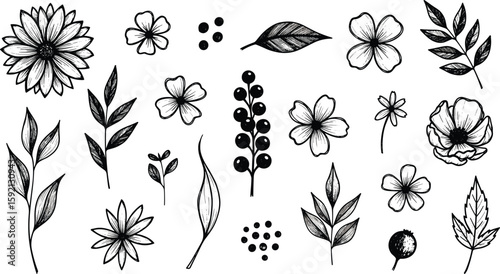 Flower brush hand drawn vector set. Hand drawn doodle flower, floral leaf elements in brush stroke ink style. Simple abstract botanical silhouette 