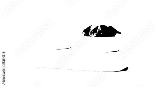 Cute dog illustration of two white dogs looking at the viewer black and white drawing vector design 100 vector