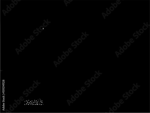 Abstract dark night landscape with a single star and ground fog photography concept art design vector
